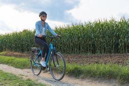 Fahrrad Foto